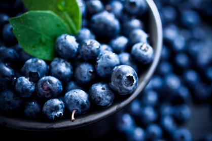 Reunite the Band Blueberry Pie.jpg